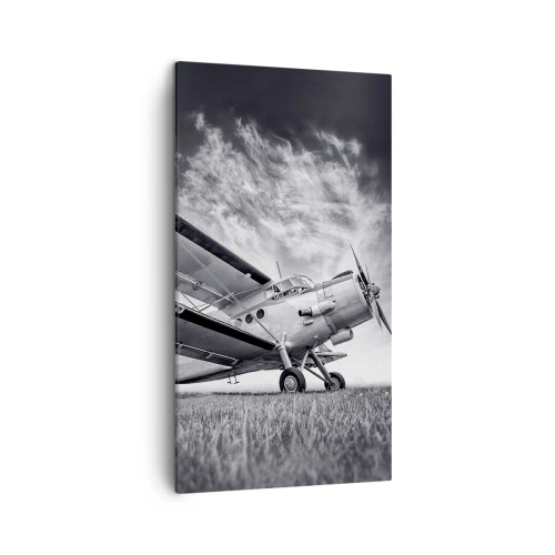 Quadro em tela - Andarilho alado - 45x80 cm