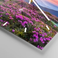 Mostrador com traços