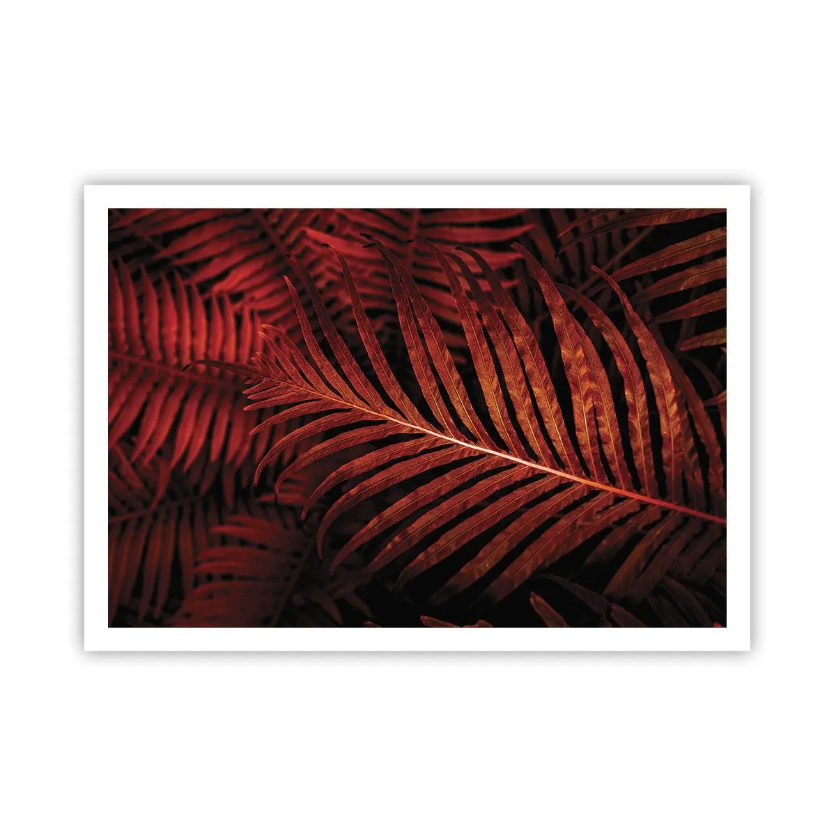Pôster - O calor da vida - 100x70 cm