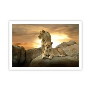 Pôster - Majestade real - 91x61 cm