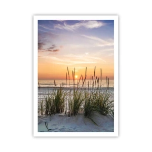 Pôster - Olhe, pense, sinta - 70x100 cm