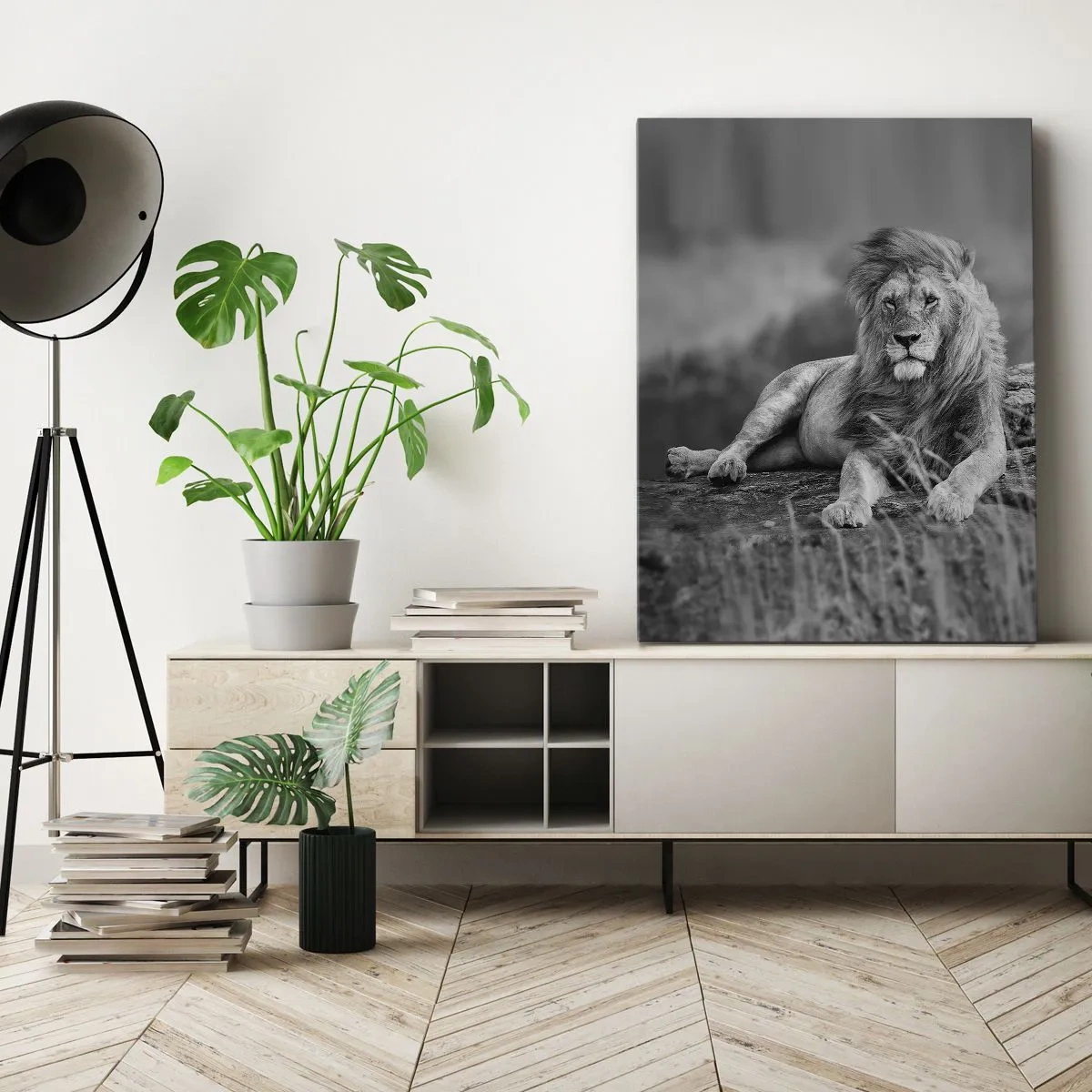 Quadro em tela - Sesta real - 50x70 cm