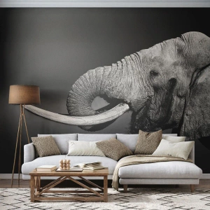 Papel de Parede Premium Sand - Sim, agora está tudo bem - Animais, Elefante, África - 150x105 cm