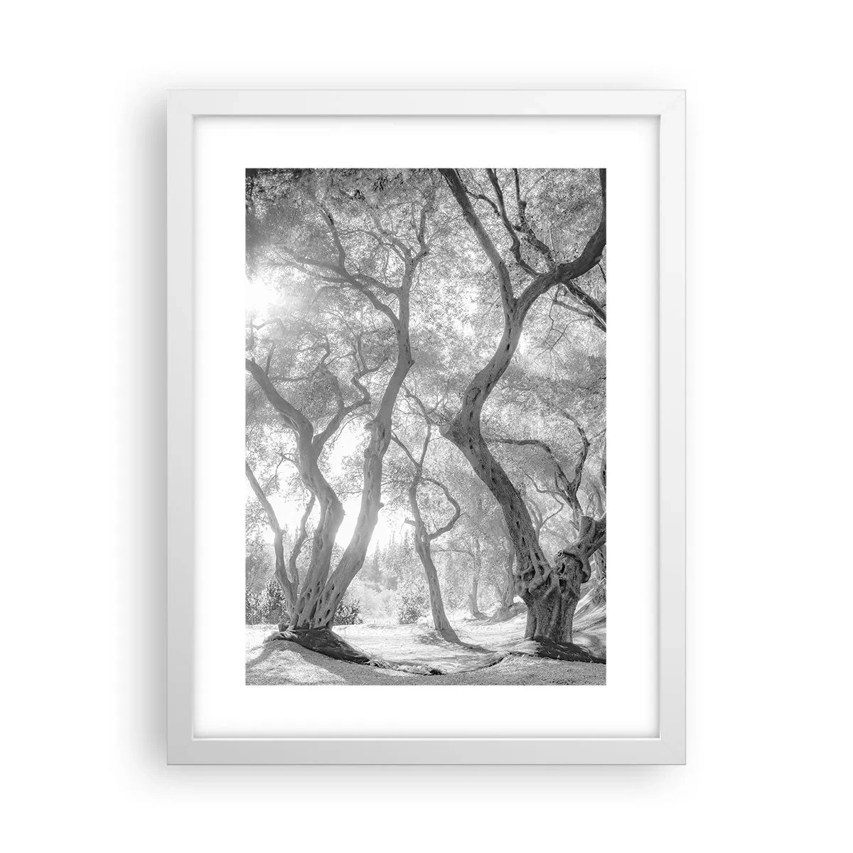 Pôster em moldura branca - No olival - 30x40 cm