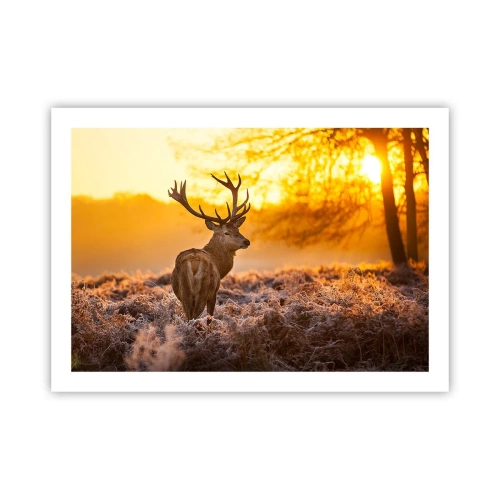 Pôster - Rei da floresta de outono - 70x50 cm