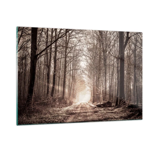 Quadro em vidro - Catedral na Floresta - 120x80 cm