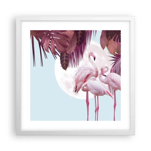Pôster em moldura branca - Três graças de pássaros - 40x40 cm