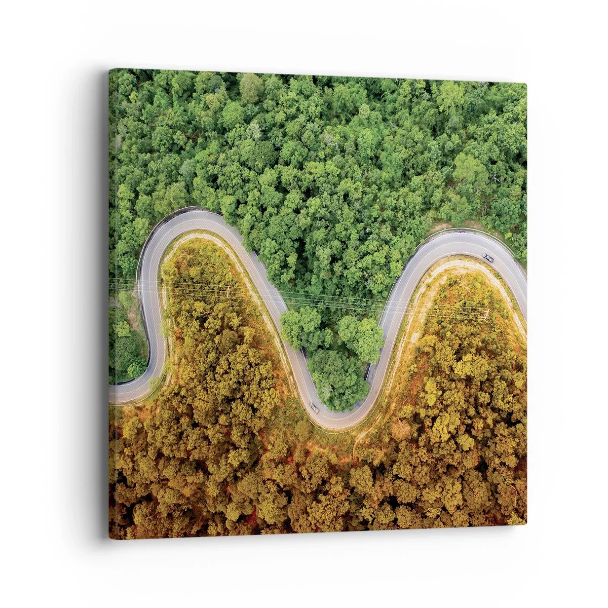 Quadro em tela - Fronteiras e descobertas - 40x40 cm