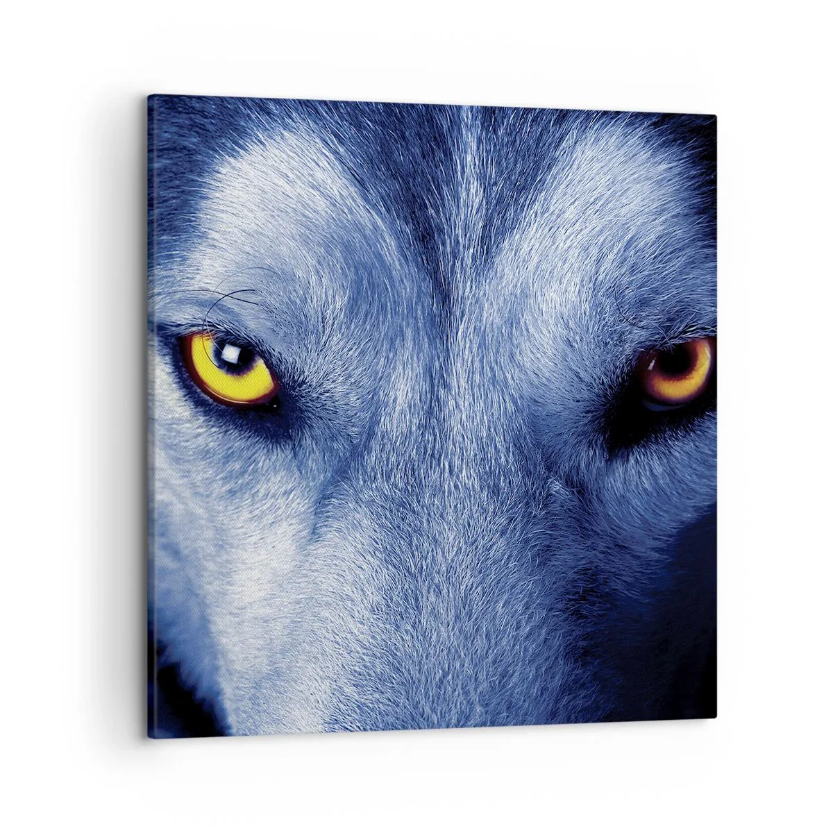 Quadro em tela - Olhar hipnotizante - 50x50 cm