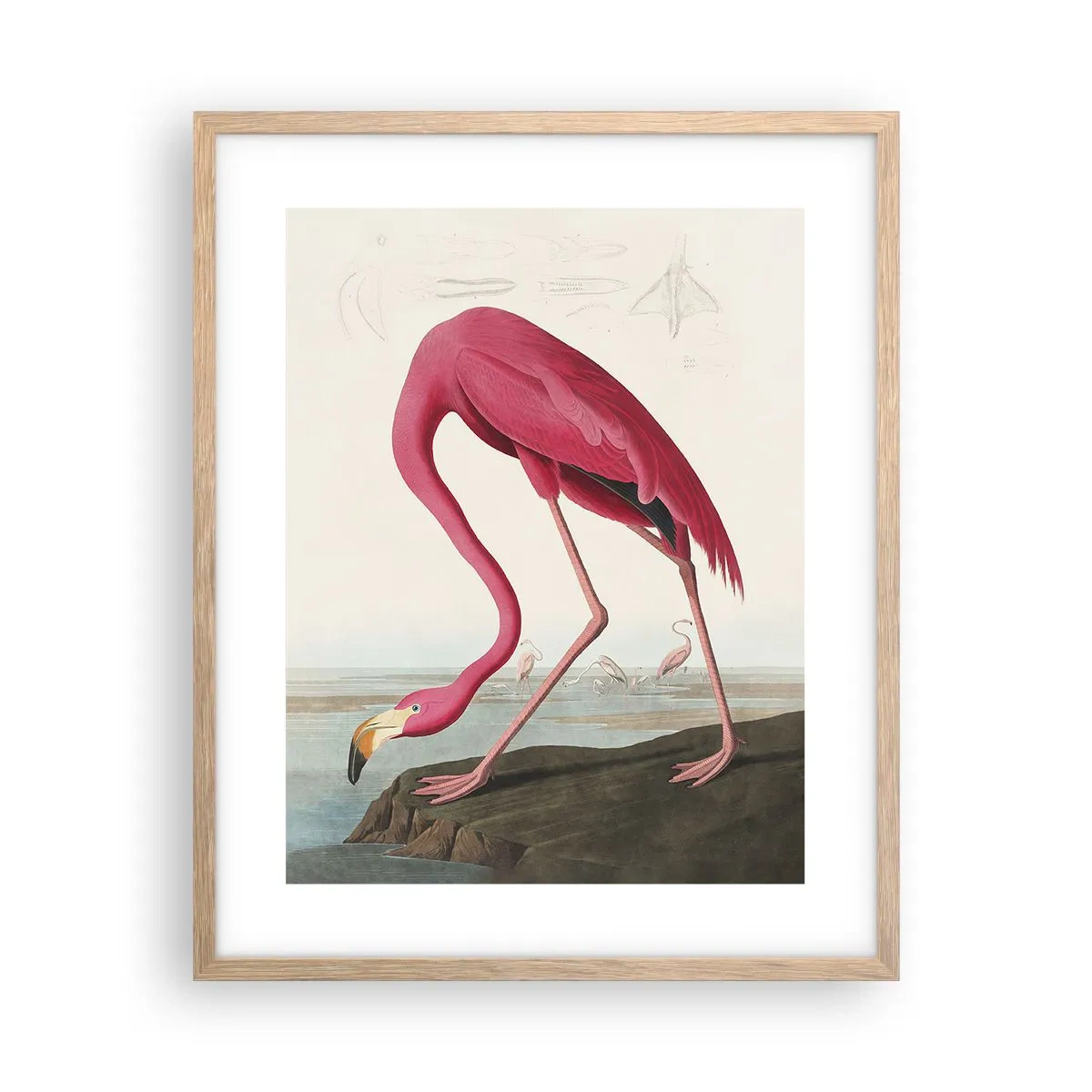 Pôster com moldura de carvalho claro - Uma criatura surpreendente - 40x50 cm