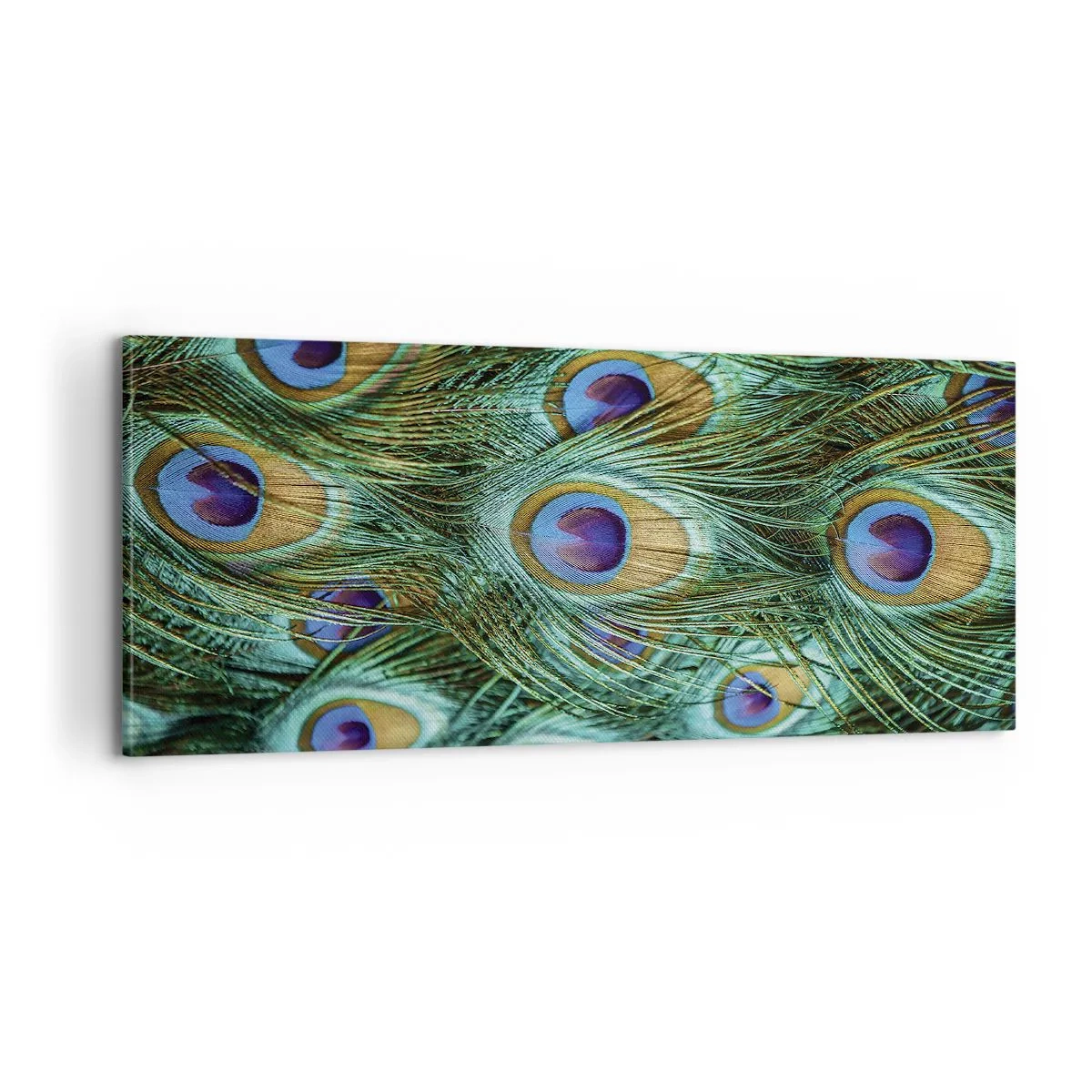 Quadro em tela - Um olhar de pavão - 100x40 cm