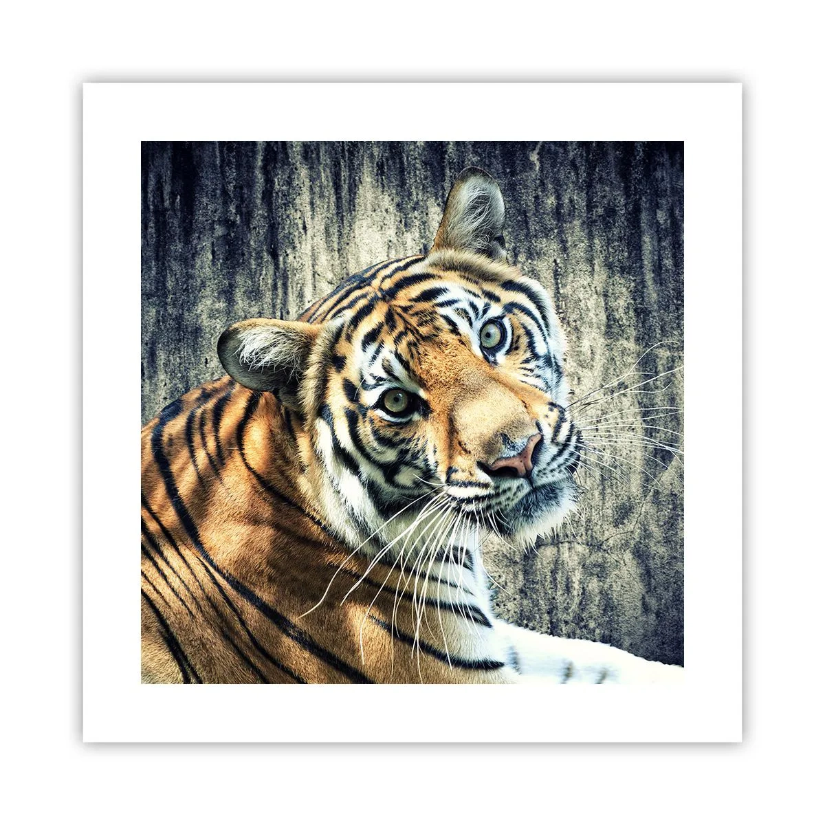 Pôster - Retrato em feixes de luz - 40x40 cm