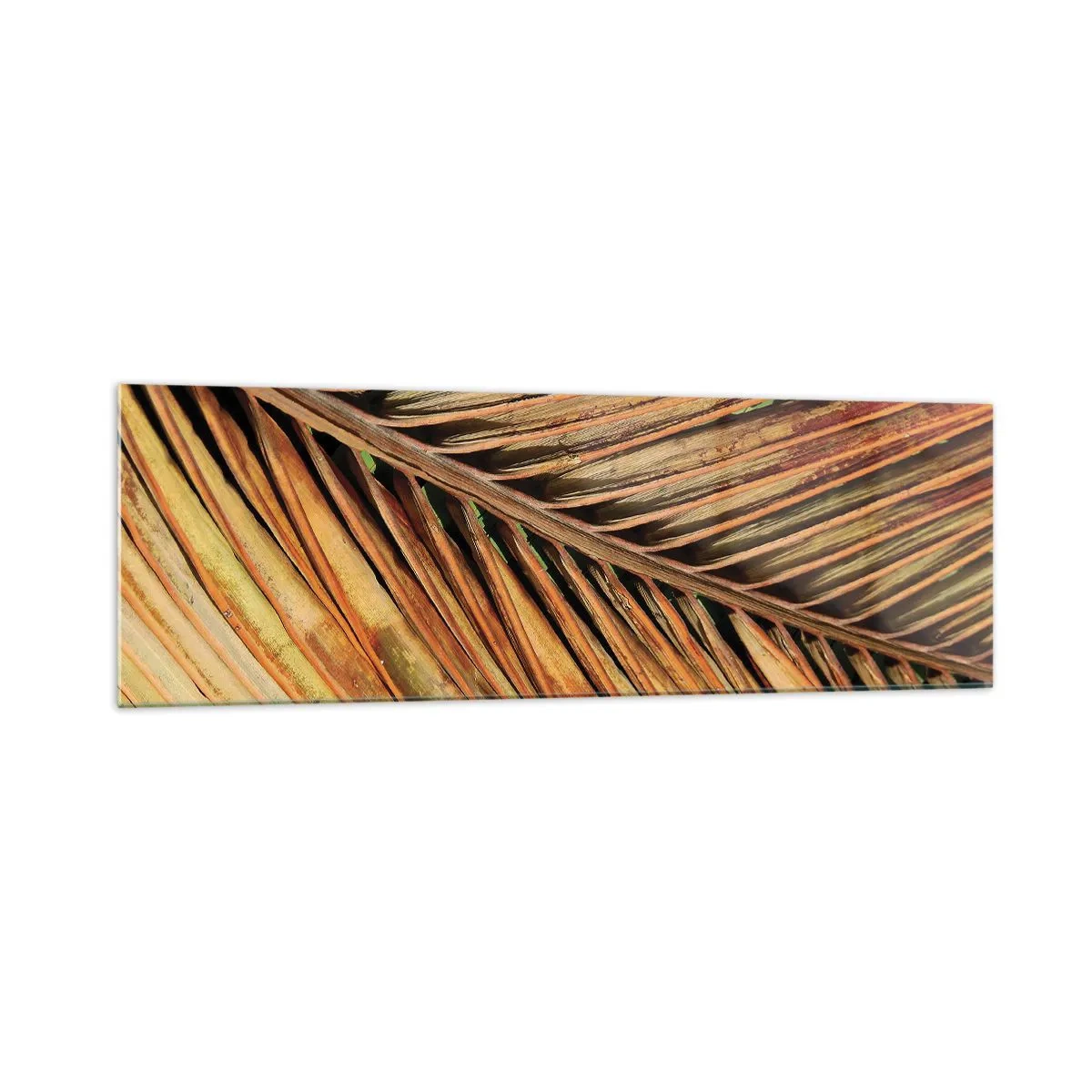 Quadro em vidro - Ouro de coco - 160x50 cm