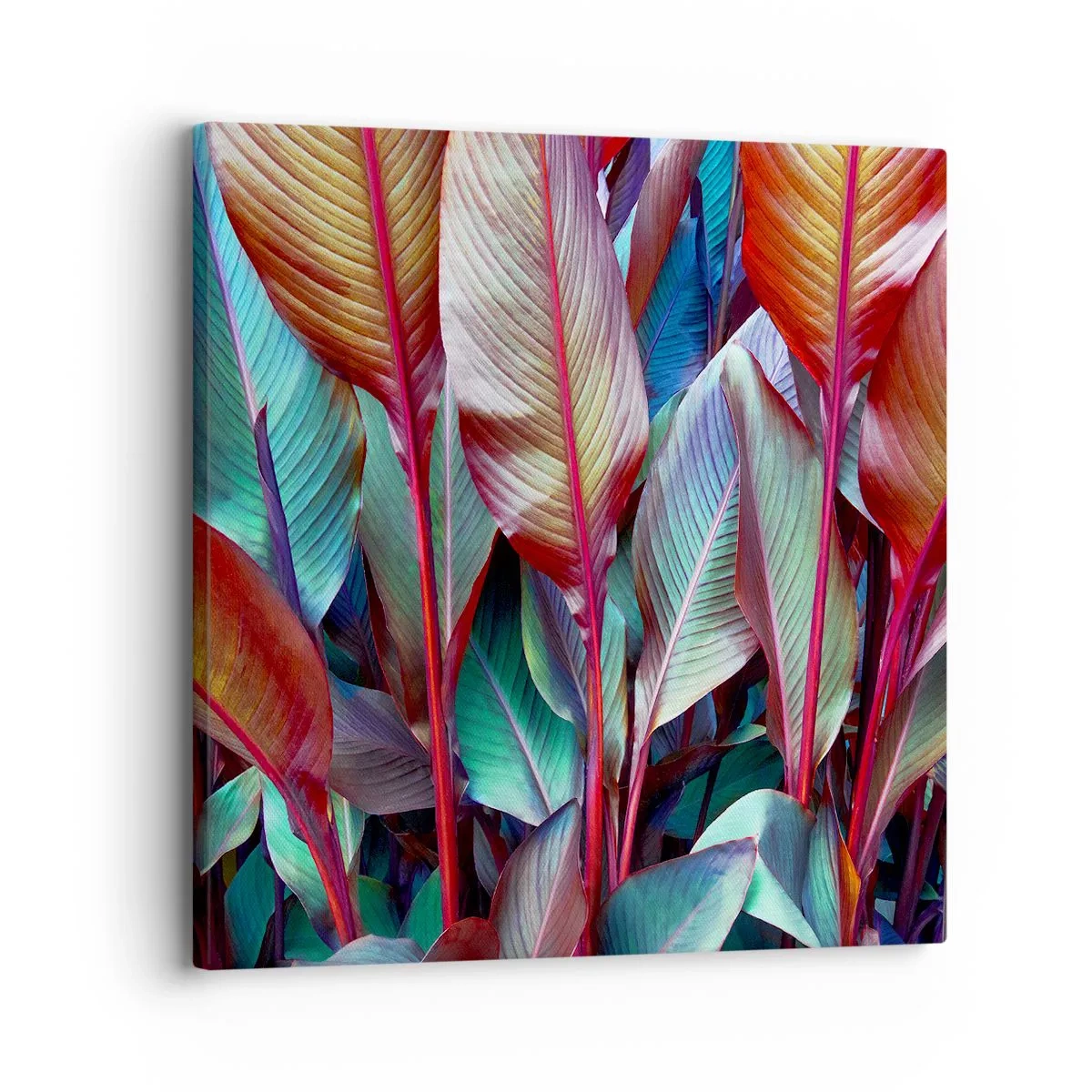 Quadro em tela - Um matagal colorido - 30x30 cm