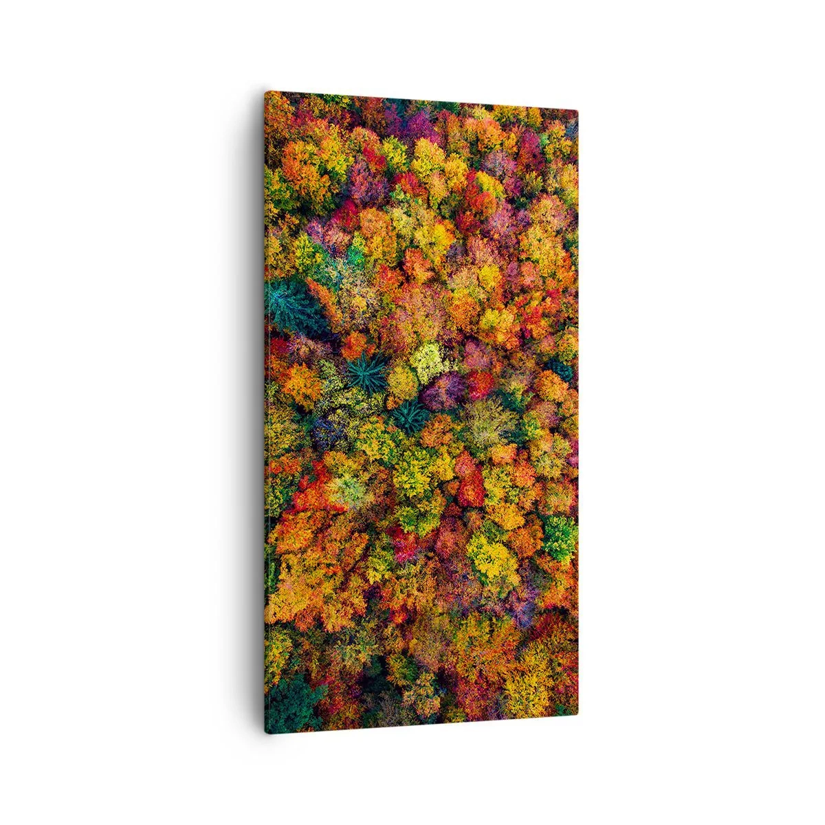 Quadro em tela - Bouquet de árvores de Outono - 55x100 cm