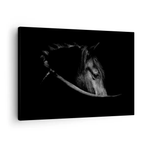 Quadro em tela - Um retrato em preto e branco de um cavalo com um sutil jogo de luz e sombra sobre um fundo escuro. - 70x50cm - Príncipe Negro - Decoração de parede moderna para a sala de estar e quarto ARTTOR