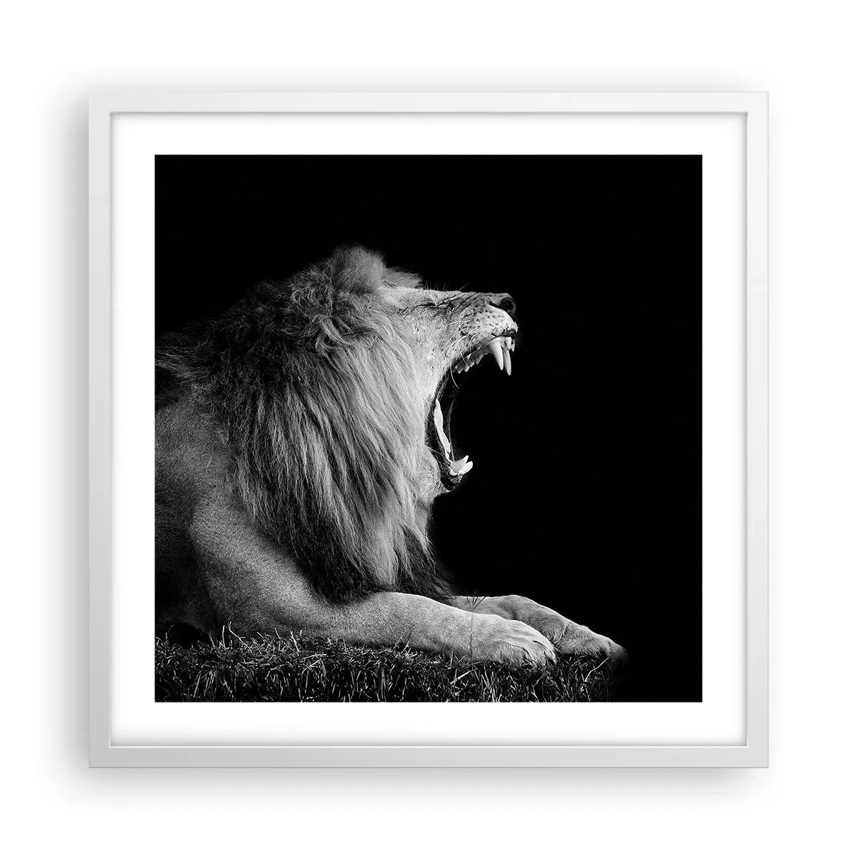 Pôster em moldura branca - Sem dúvida alguma - 50x50 cm