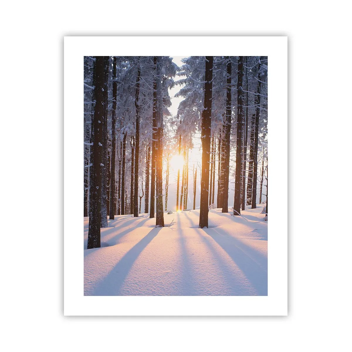 Pôster - Preto no branco - 40x50 cm