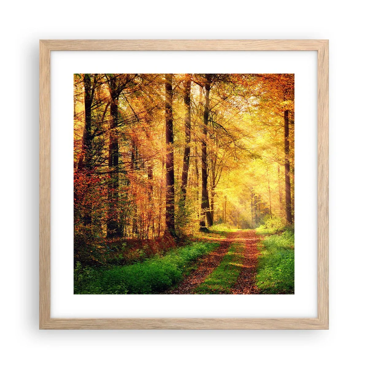 Pôster com moldura de carvalho claro - Silêncio dourado da floresta - 40x40 cm