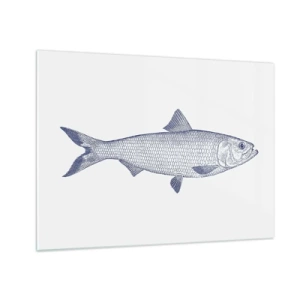 Quadro em vidro - Desenho de peixe em estilo vintage em um fundo claro - 70x50cm - Saudações dos mares do norte - Decoração de parede moderna para a sala de estar e quarto ARTTOR