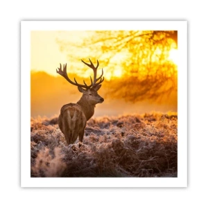 Pôster - Rei da floresta de outono - 60x60 cm