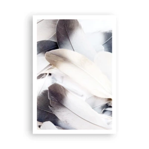 Pôster - Semi-angelical - 70x100 cm