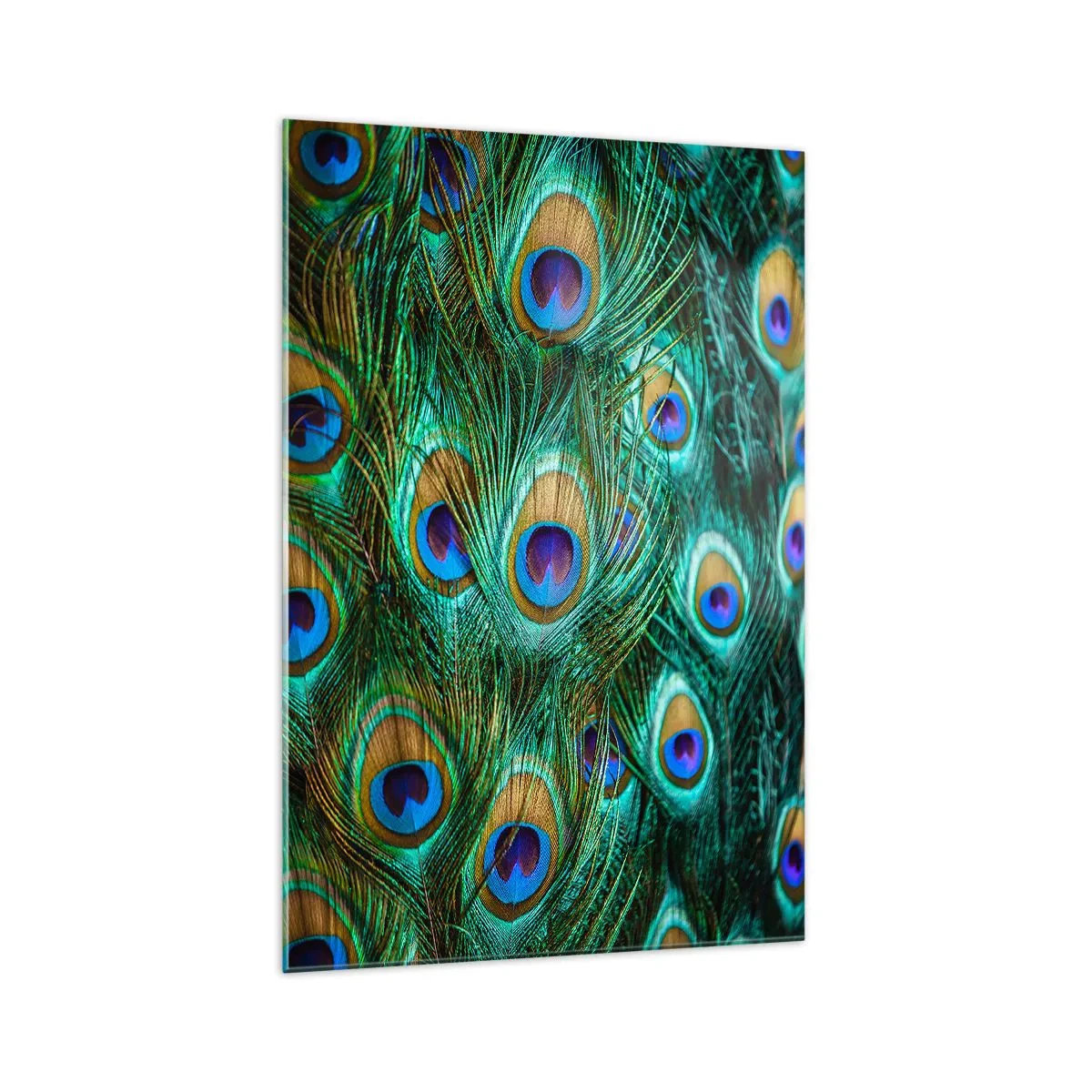 Quadro em vidro - Um olhar de pavão - 70x100 cm