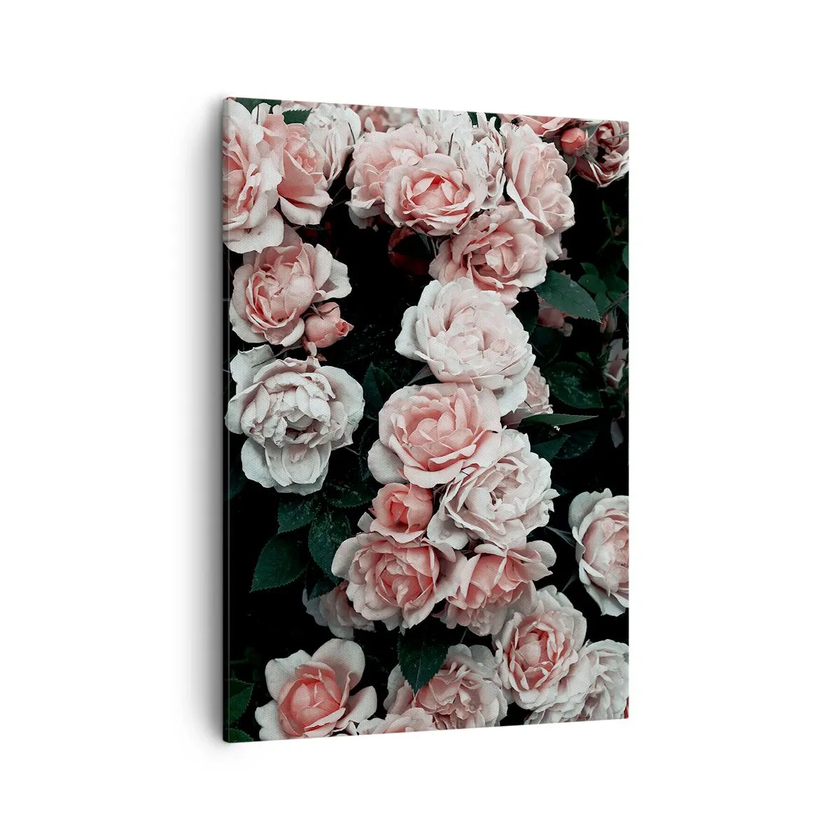 Quadro em tela - Conjuntos de rosas - 50x70 cm
