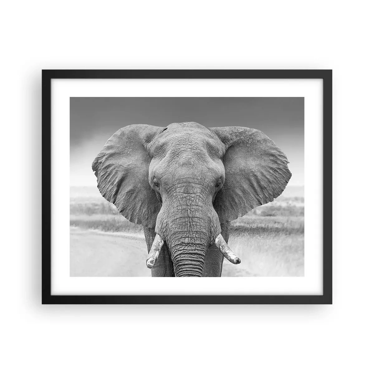 Pôster com moldura preta - Bem-vindo ao meu mundo - 50x40 cm