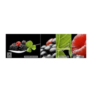Amostra de papel de parede Premium Sand - Sabor do frescor - Fruta, Amora, Framboesa - 100x30 cm