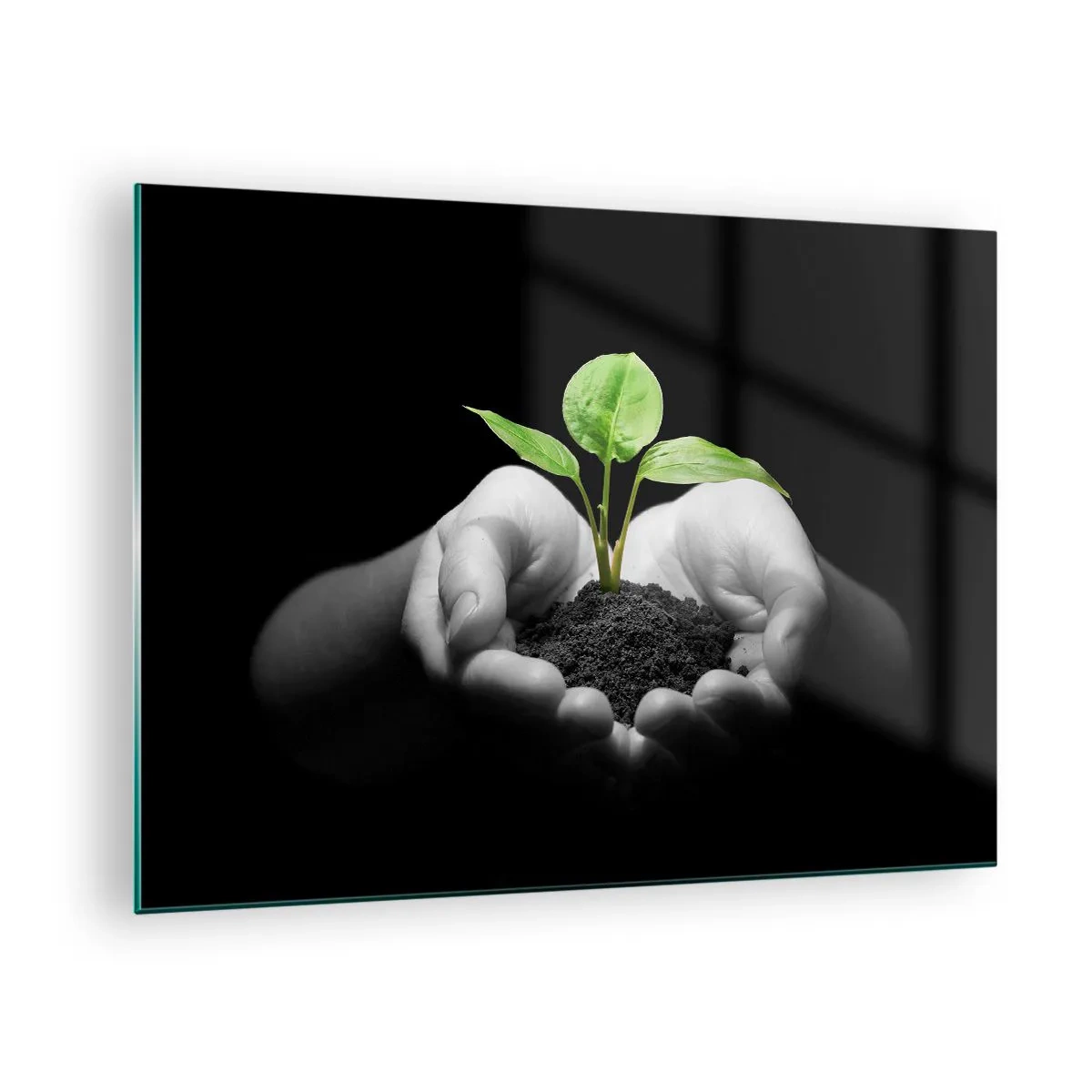Quadro em vidro - Uma planta jovem nas mãos contra um fundo preto - 70x50cm - Eu amo a natureza, eu a protejo - Decoração de parede moderna para a sala de estar e quarto ARTTOR