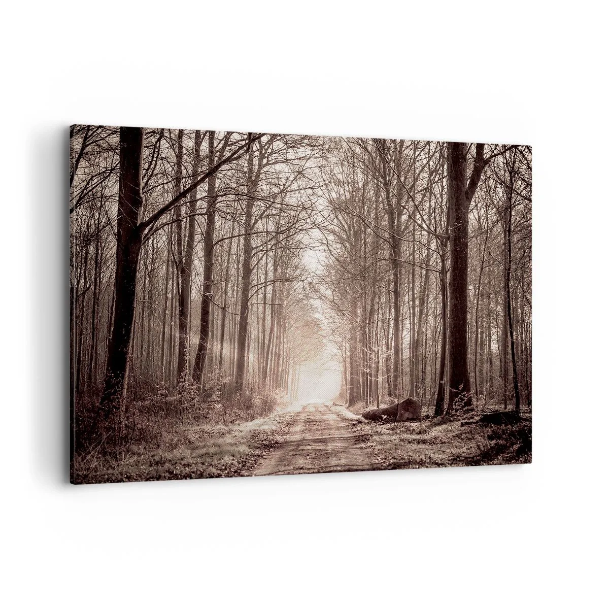 Quadro em tela - Catedral na Floresta - 120x80 cm