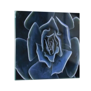 Quadro em vidro - Flor do deserto - 30x30 cm