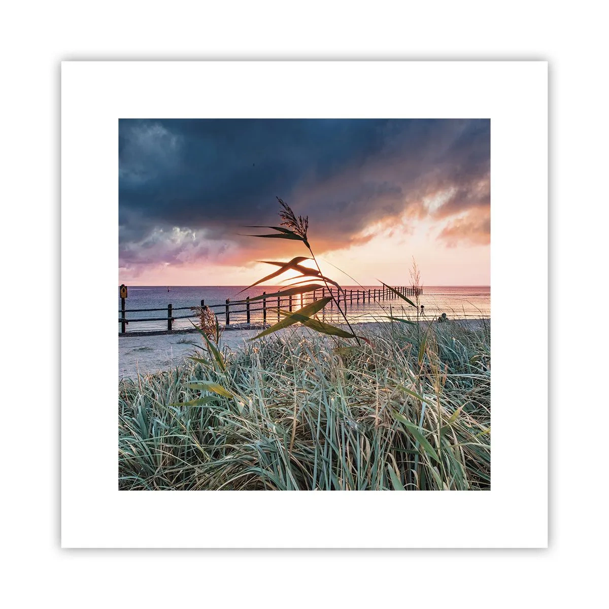 Pôster - O vento não leva - 30x30 cm