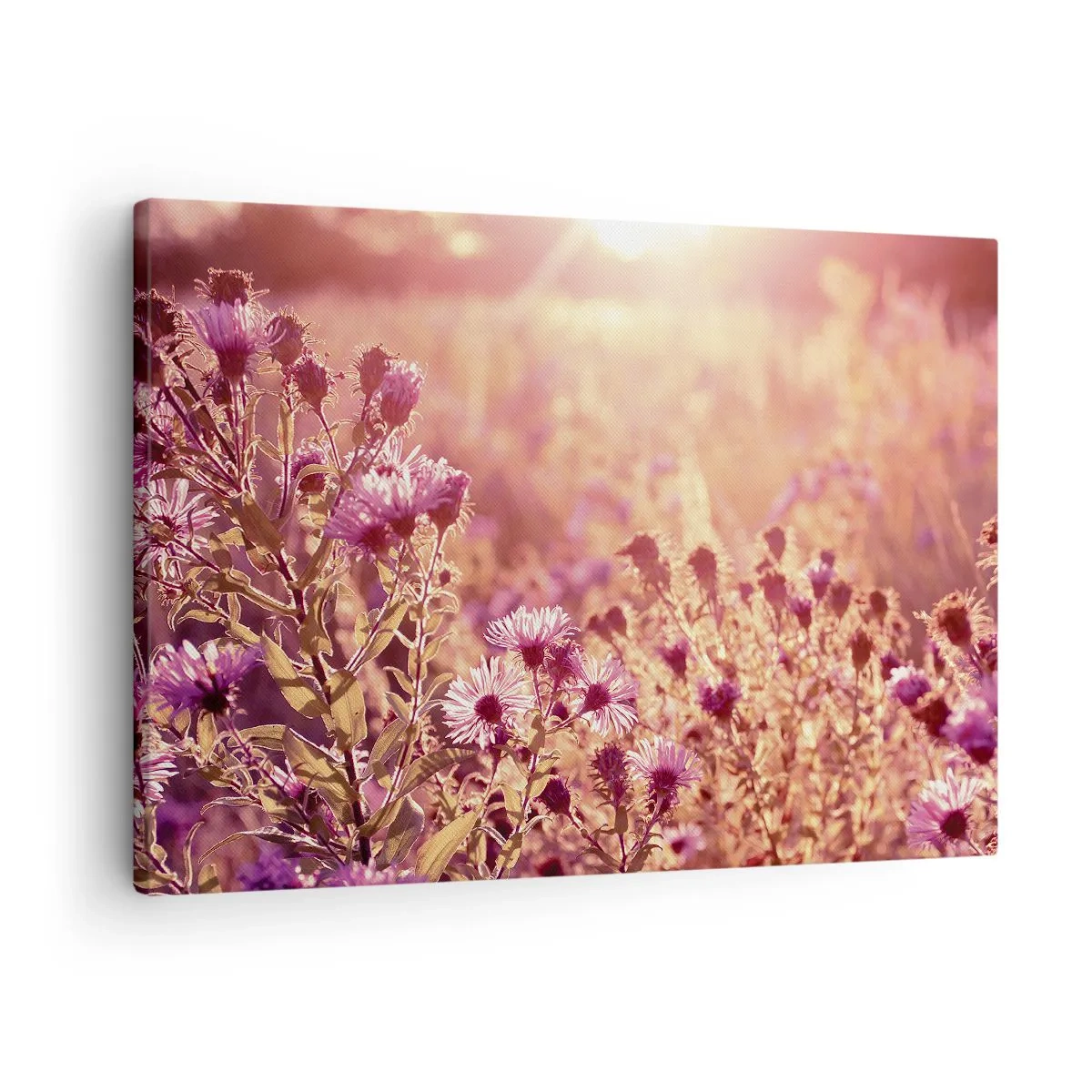 Quadro em tela - Prado à luz do pôr do sol - 70x50cm - Antes do verão acabar - Decoração de parede moderna para a sala de estar e quarto ARTTOR
