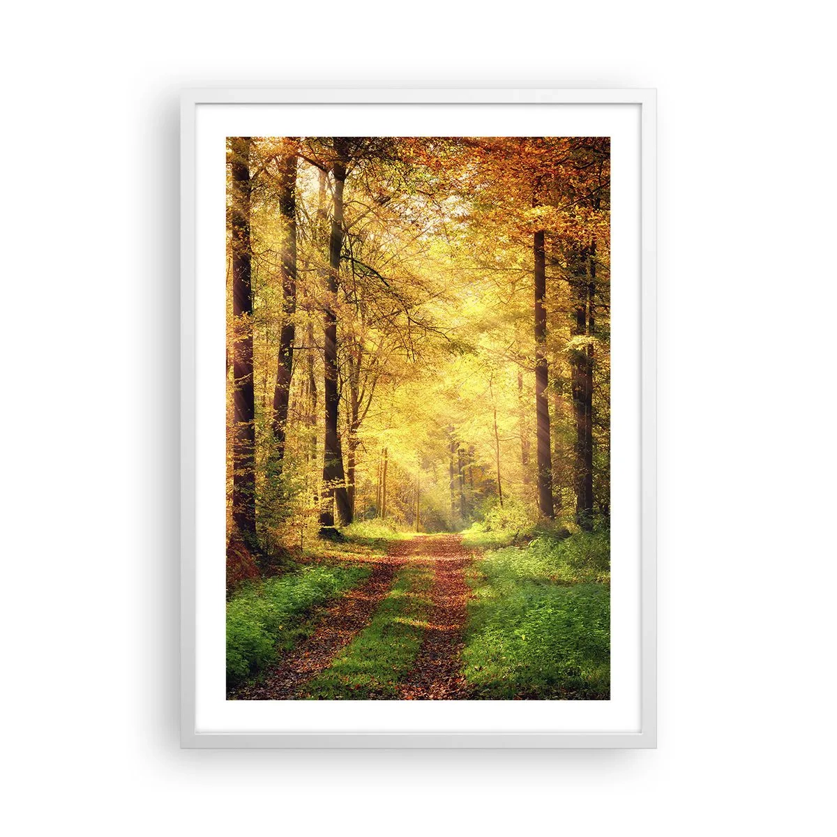 Pôster em moldura branca - Silêncio dourado da floresta - 50x70 cm