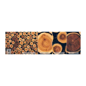 Amostra de papel de parede autocolante Deluxe Sticker - Que idade pareço ter? - Tronco de árvore, Floresta, Pedaço - 100x30 cm