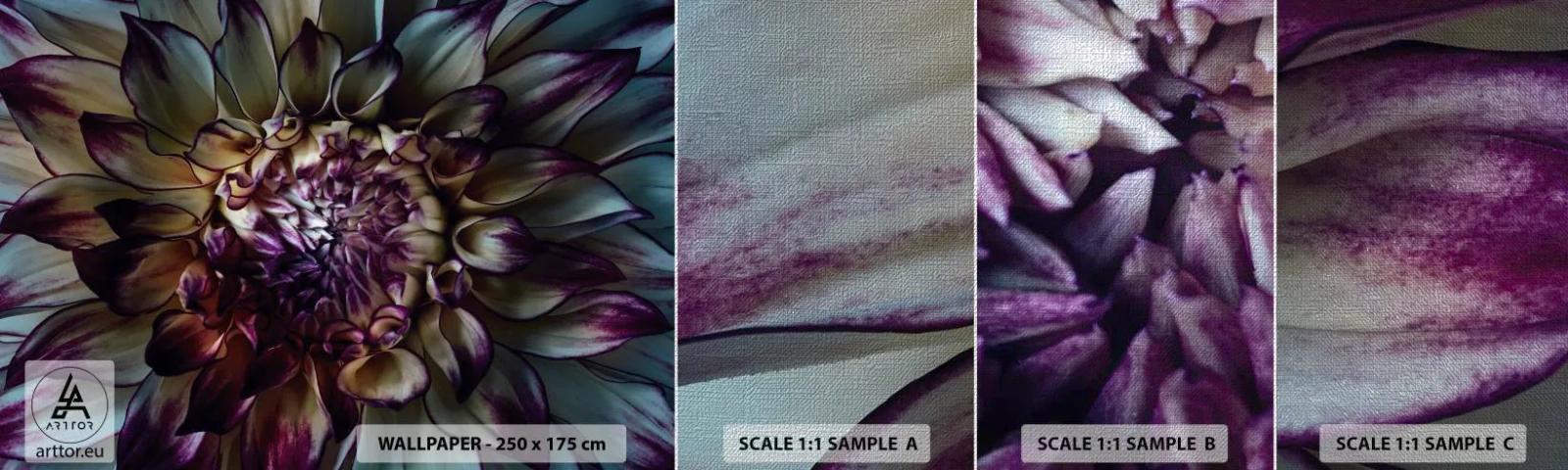 Amostra de papel de parede Premium Canvas - O florescimento da juventude - Flores, Dália, Flor desabrochando - 100x30 cm