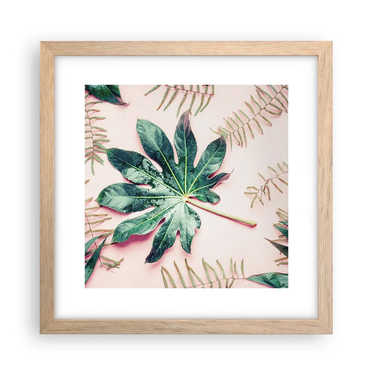Pôster com moldura de carvalho claro - Estudo do verde em um fundo rosa - 30x30 cm