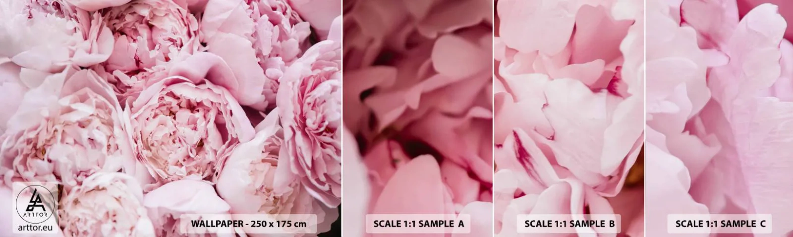 Amostra de Papel de Parede Standard Eco - Aconchego e perfume - Peônia, Flores, Buquê de flores - 100x30 cm