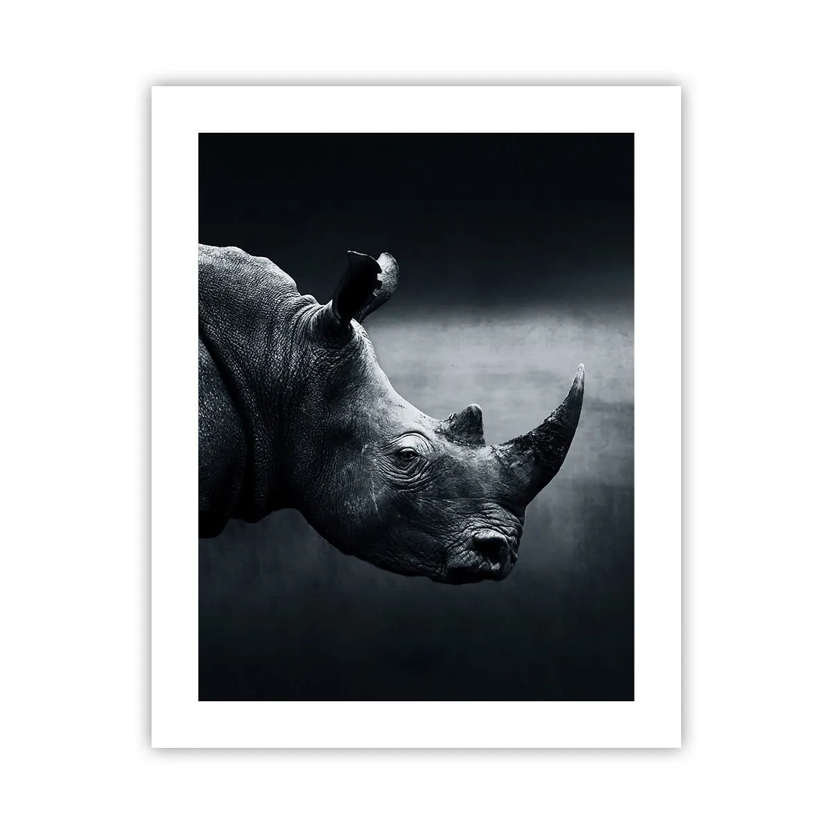 Pôster - Perfil direito - 40x50 cm