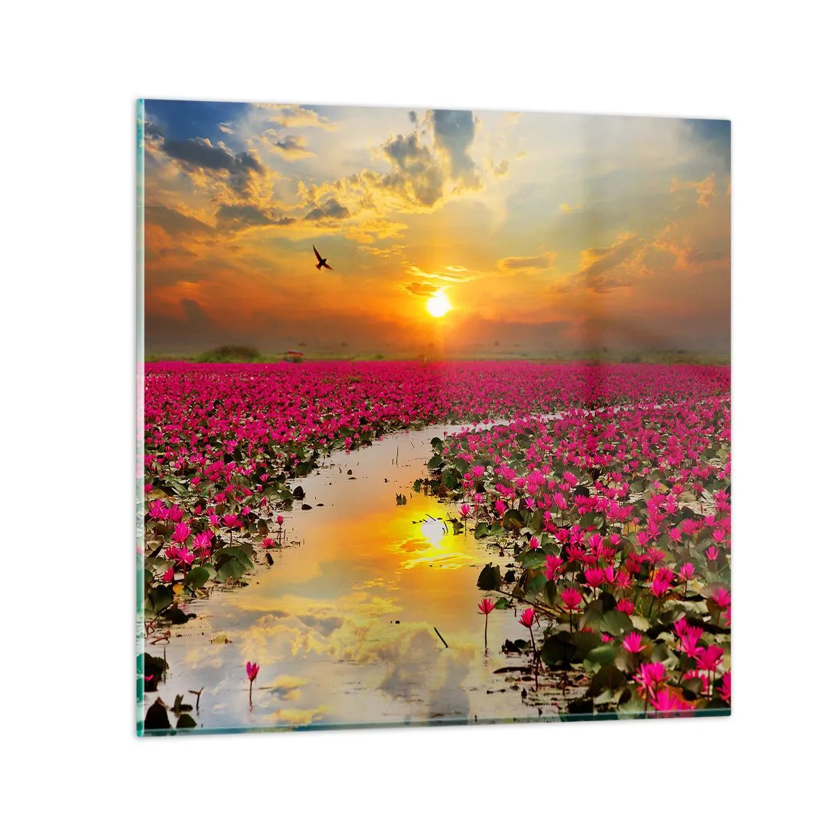 Quadro em vidro - A vida secreta do lago - 60x60 cm