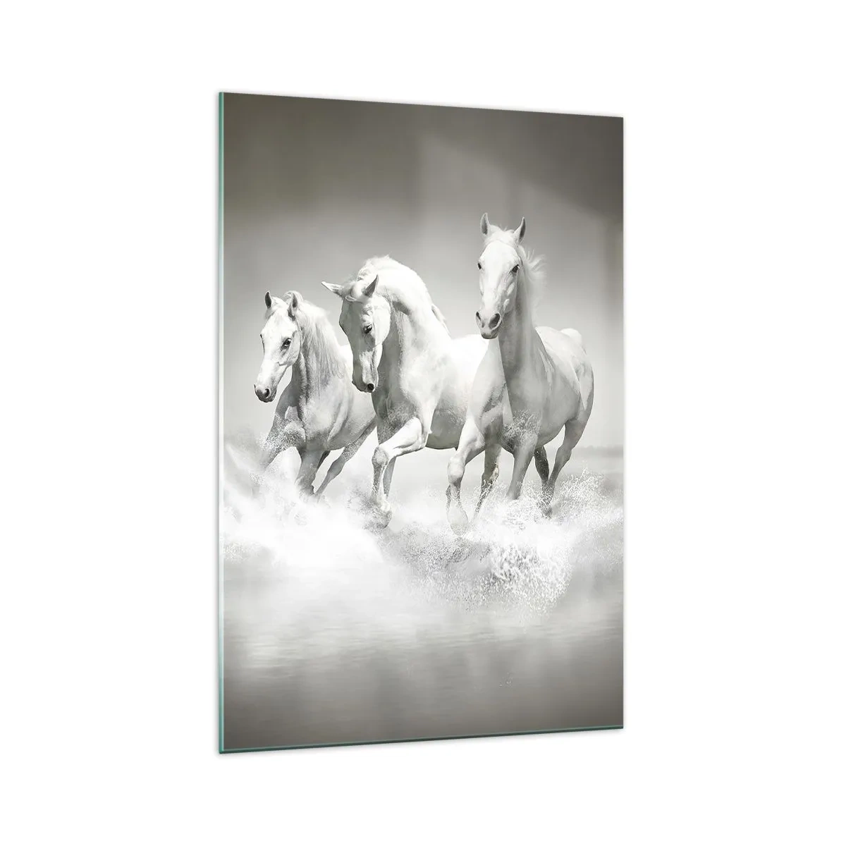 Quadro em vidro - Loucura branca - 70x100 cm