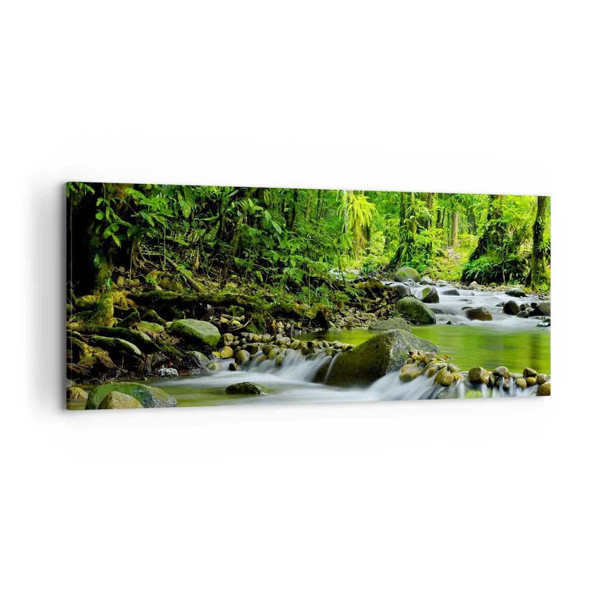 Quadro em tela - Navegar no mar de vegetação - 120x50 cm