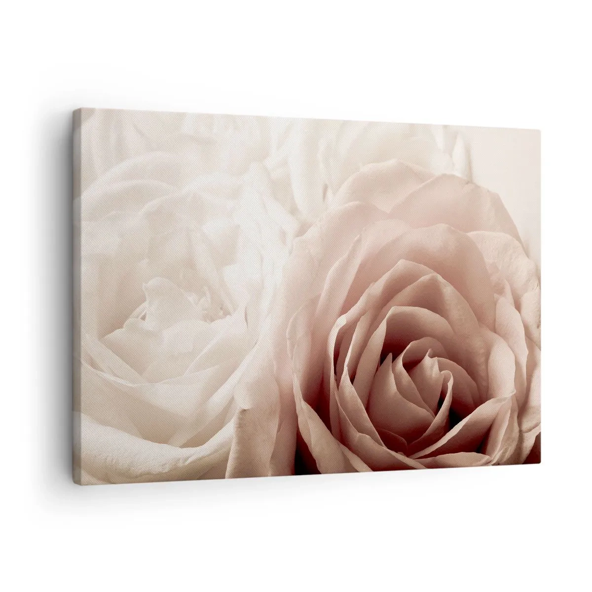 Quadro em tela - Rosas delicadas em tons pastéis de bege - 70x50cm - No coração de uma rosa - Decoração de parede moderna para a sala de estar e quarto ARTTOR