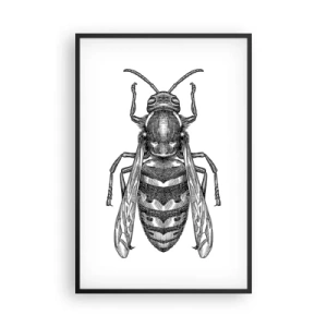 Pôster com moldura preta - De um planeta de insetos - 61x91 cm