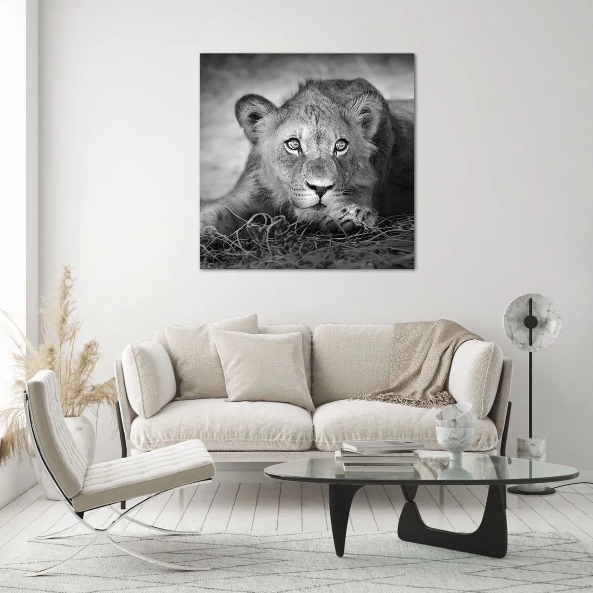 Quadro em vidro - Cachorro real - 40x40 cm