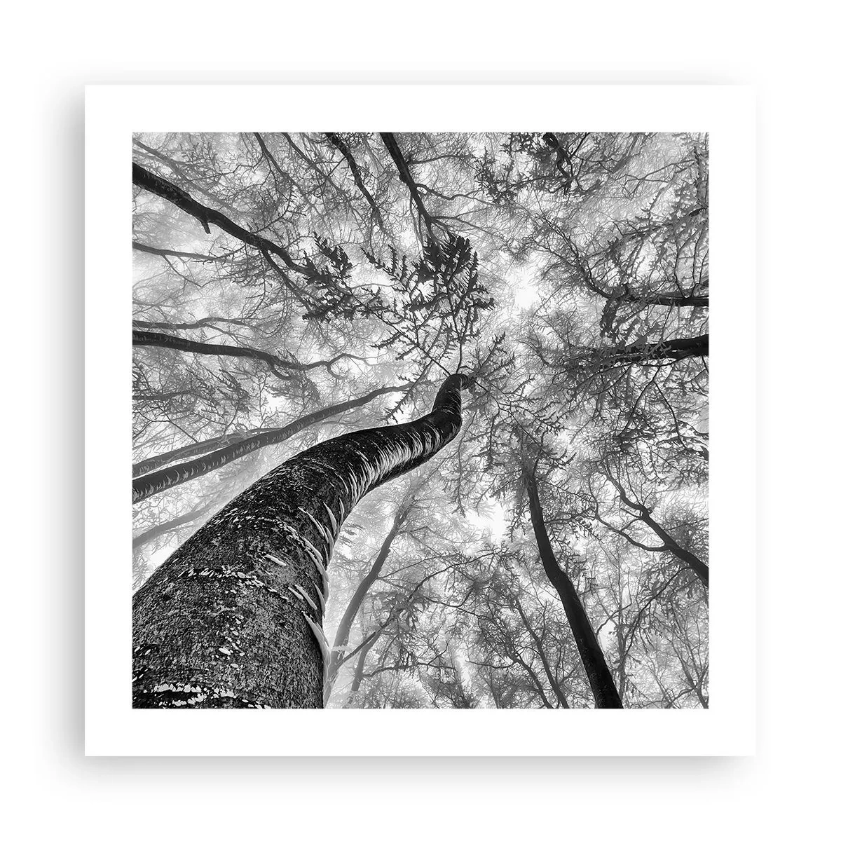 Pôster - Corrida até a luz - 50x50 cm