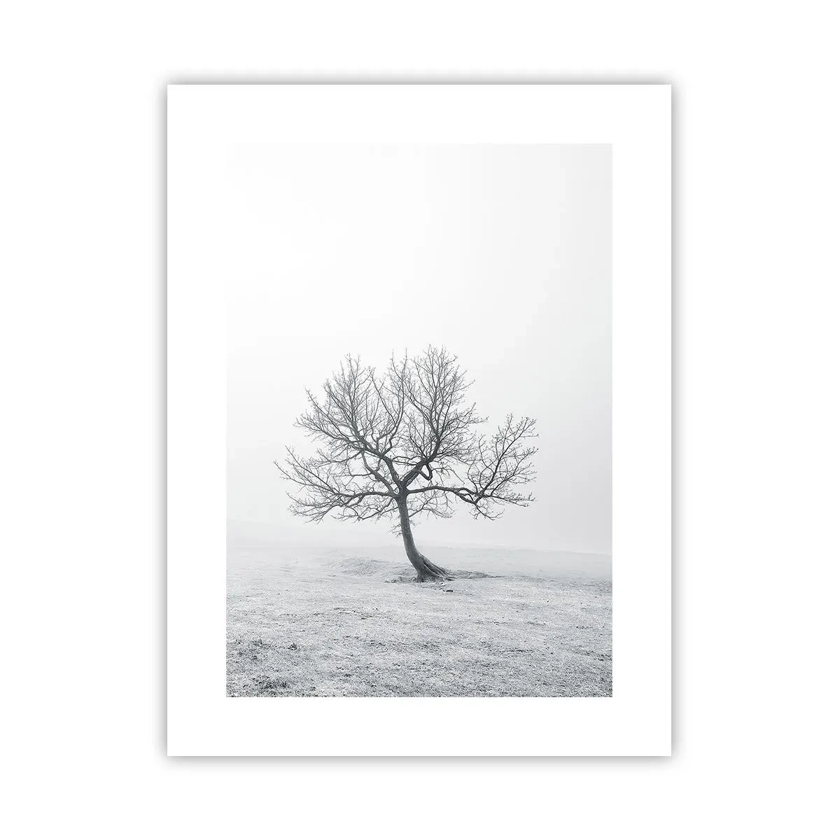 Pôster - Contra o nada - 30x40 cm