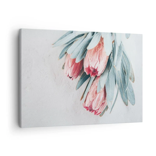 Quadro em tela - Flores de protea rosa suaves em um fundo claro - 70x50cm - Envergonhadas da sua própria beleza - Decoração de parede moderna para a sala de estar e quarto ARTTOR